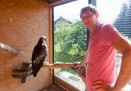 Lienzer Vogelexperte pflegt den König der Lüfte Lienzer Vogelexperte pflegt den König der Lüfte