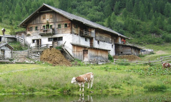 Die bereits geleisteten Strafzahlungen fließen an die Bauern zurück.