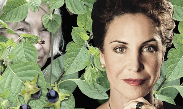 Stadtkultur-Bella-Donna