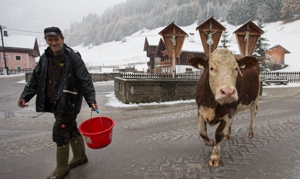 Wintereinbruch-in-Kals