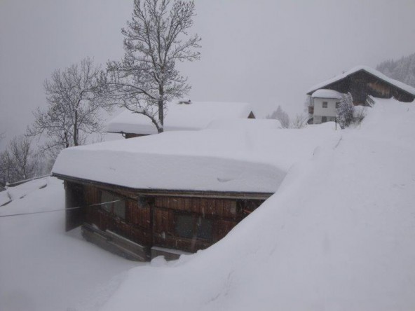 Schneefoto-Michael-Mayr