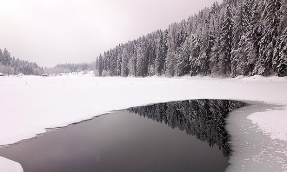 Romantisch aber nicht ganz ungefährlich. Derzeit gesperrt ist der Spazierweg am Südufer des Tristachersees. Foto: Stadtgemeinde Lienz