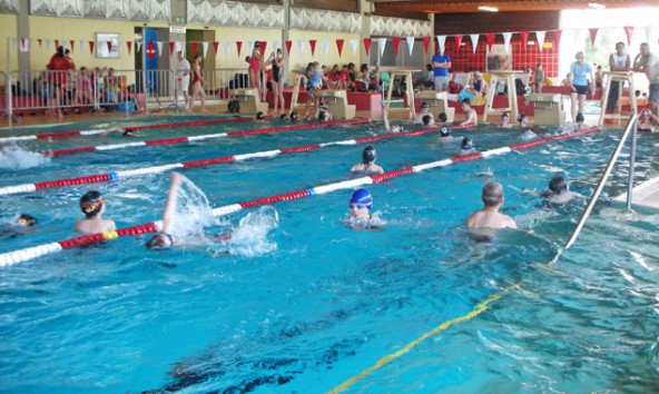 Rund 150 NachwuchsschwimmerInnen kämpfen beim Tigas-Cup um persönliche Bestzeiten. Foto: Stadtgemeinde