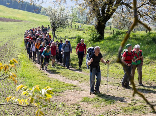 Rund 6.000 Menschen nahmen an der Wallfahrt nördlich von Klagenfurt teil. Fotos: Expa/Groder