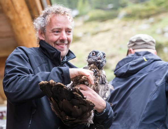 "Mister Bartgeier" Michael Knollseisen mit einem seiner Schützlinge. Sei 15 Jahren betreut der Biologe bereits die Bartgeier im Nationalpark Hohe Tauern. Fotos: Expa/Groder