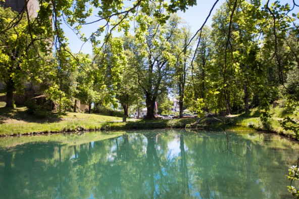 Der gesamte Schlosspark ist ein Naturdenkmal.