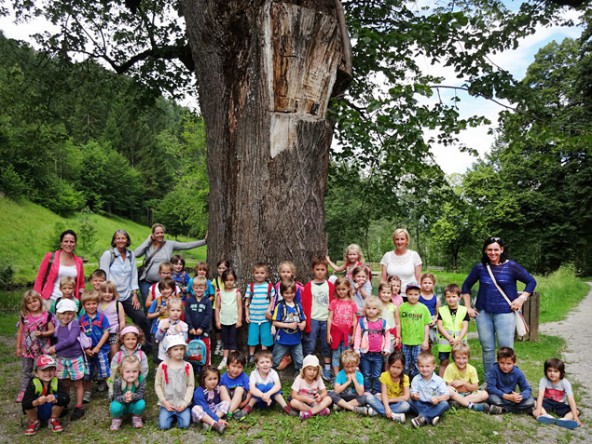 Die Krirpse des Kindergartens Tristach wanderten für ein letztes Foto zur alten Linde am Teich von Schloss Bruck.