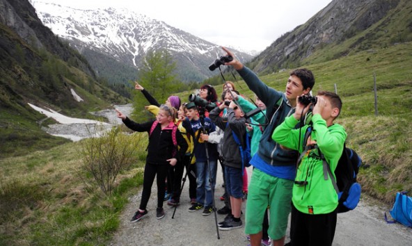 Die Klasse 2a der NMS Weer durfte einen ganz Tag lang Wildtiere beobachten. Im Bild das Kalser Ködnitztal mit dem Großglockner. Foto: Nationalpark