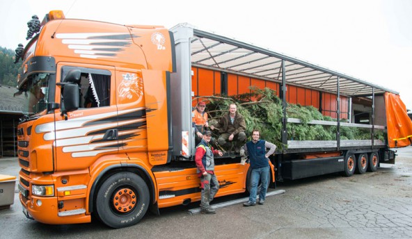 Daniel Petutschnig (rechts) steuerte den Laster mit dem Lienzer Christbaum nach Wien. Foto: Lenzer