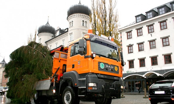 christbaumtransport-lienz