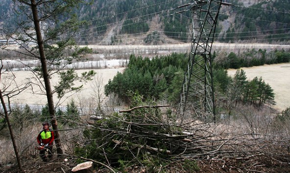 Mit der Eröffnung des forsttechnischen Ingenieurbüros soll die nachhaltige Waldbewirtschaftung unterstützt werden. Foto: Maschinenring