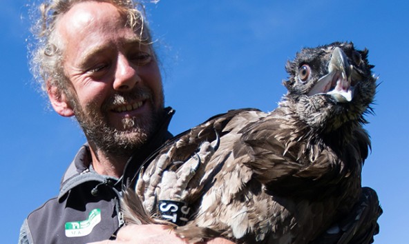 Nationalparkmitarbeiter Michael Knollseisen mit dem Jungvogel Lea. Fotos: Expa/Johann Groder