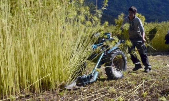 Von der Landwirtschaft bis zur Forschung und schließlich dem Hausbau übernehmen Christoph Kirchler und Alexander Erlacher die Hauptarbeit selbst. Foto: www.ecopassion.it