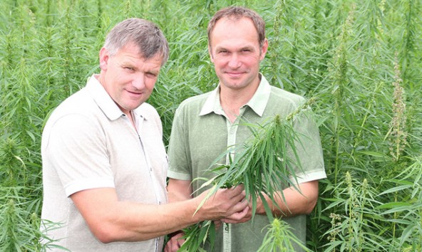 Günther Schmid und Anton Hagenauer sehen Hanf als das Lebensmittel der Zukunft. Foto: www.hanfland.at