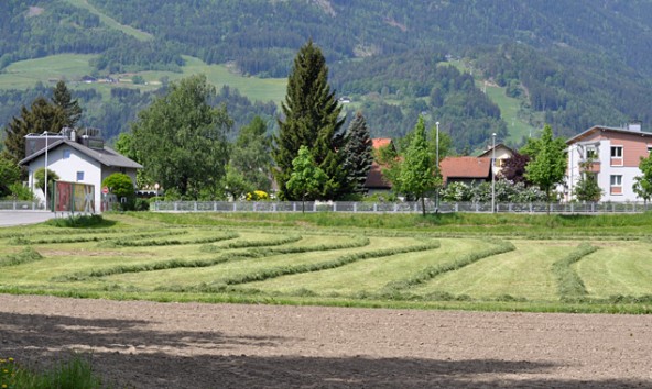 6000 m2 Grund wollte Zanier an der Zettersfeldstraße erwerben. Jetzt zieht der Unternehmer sein Offert zurück. Foto: Dolomitenstadt/Pirkner