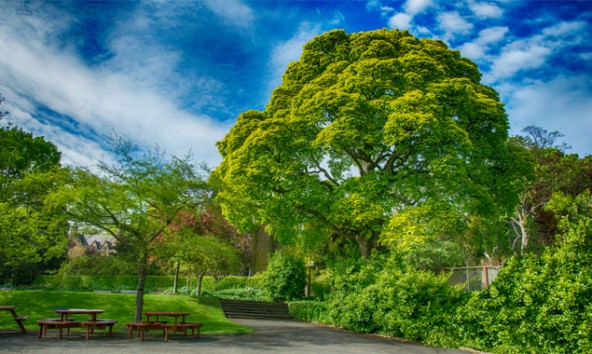 Die Landschaft des Zoos scheint fast beeindruckender als die Tiere.