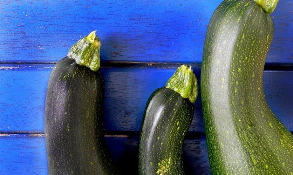 Durch Kreuzungen mit Zierkürbissen können Zucchini übermäßig viele Bitterstoffe anreichern. Foto: mages/photocase.com