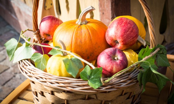 Der Herbst wird in Lienz mit Gesang und Schmankerln begrüßt. Fotos: Stadt Lienz/Brunner