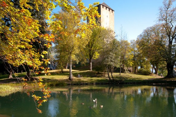 Enten im Teich, Fledermäuse und Falken im Gemäuer. Die Vogelwelt des Schlosses ist bunt. Foto: Sc hloss Bruck/Silvia Ebner