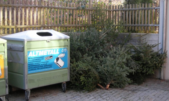 Es ist zwar noch ein wenig früh, jetzt schon an die Christbaumentsorgung zu denken, aber die Stadtgemeinde muss schon jetzt alle Vorbereitungen dafür treffen. Fotos: Stadt Lienz