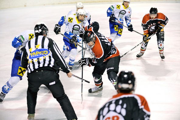 icebears-vs-eisbaeren