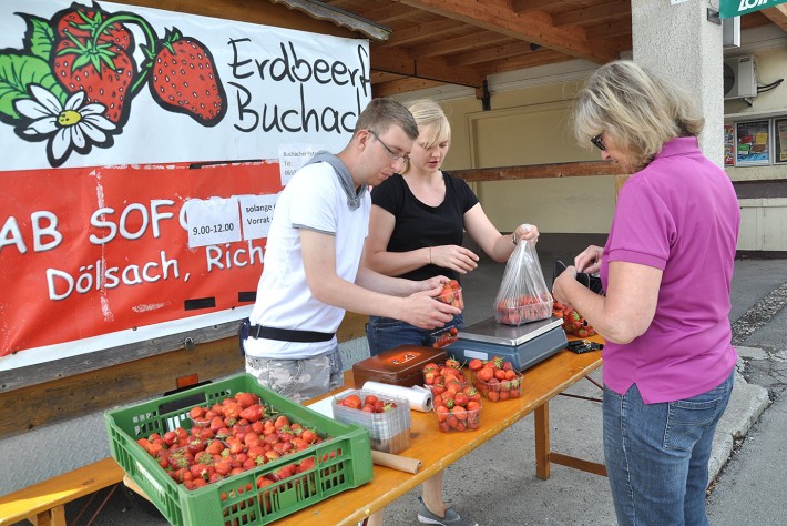 erdbeeren-lebenshilfe-artikel