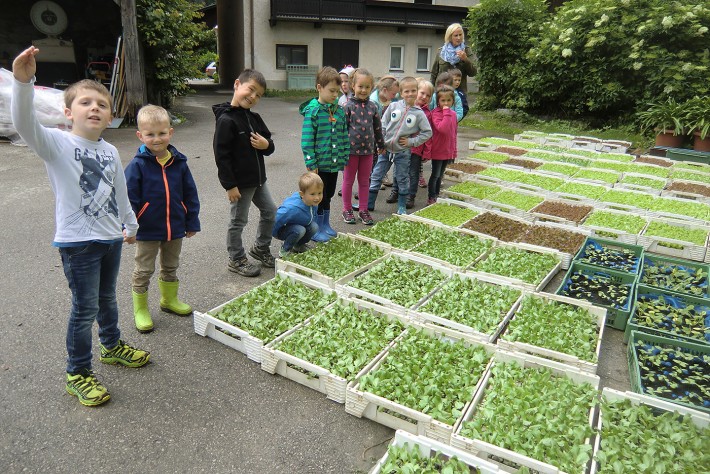 kinder-beim-gemuesebauer