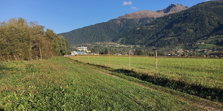 feldweg-an-der-drau-pano