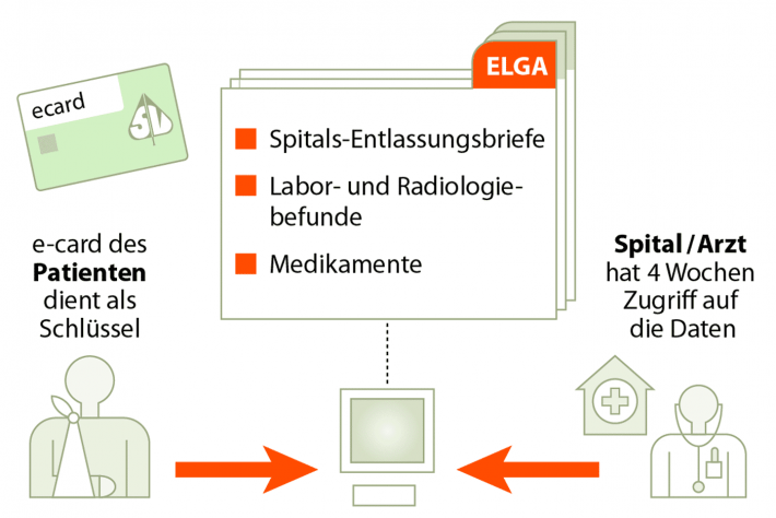 elga-grafik-apa